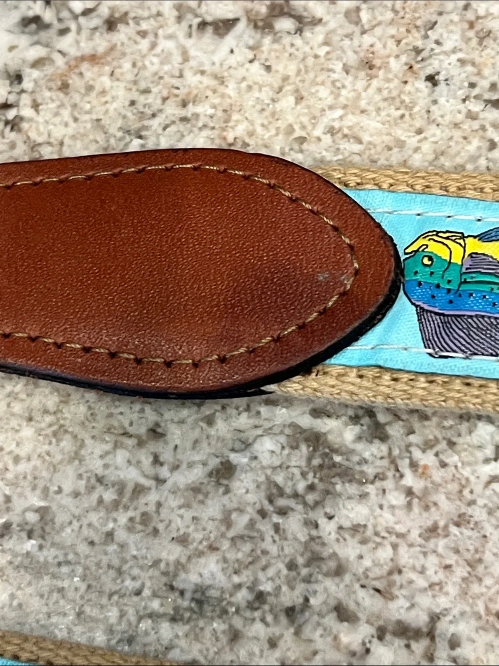 Men's Blue Fish-Print Webbing Belt with Brown Leather Trim